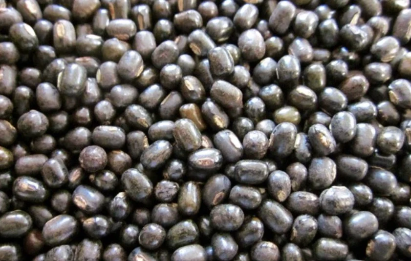 Black mung bean beside Andfoods cream